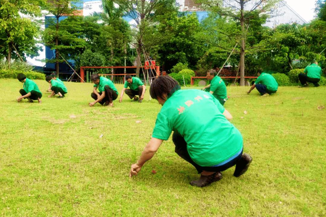 绿化养护杂草清除